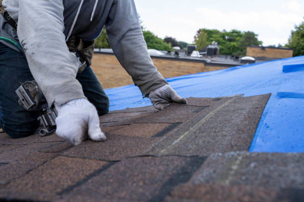 Best Emergency Roof Repair  in Harvey, ND