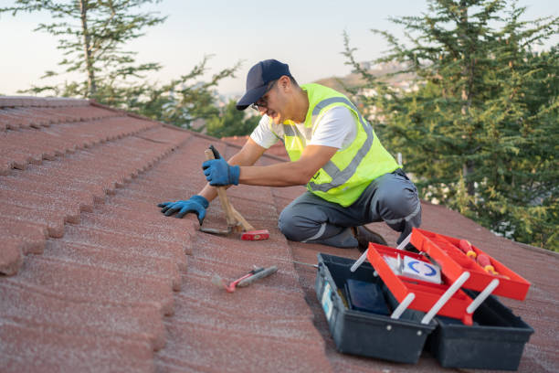 Best Shingle Roofing Installation  in Harvey, ND