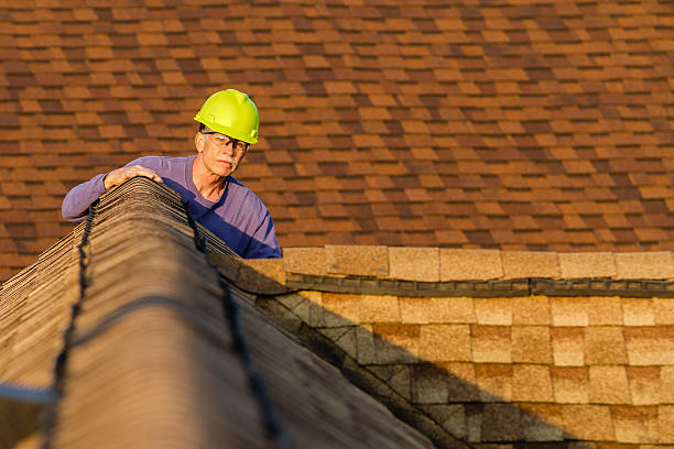 Best Roof Gutter Cleaning  in Harvey, ND
